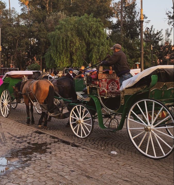 Koutchi horse-drawn carriage
